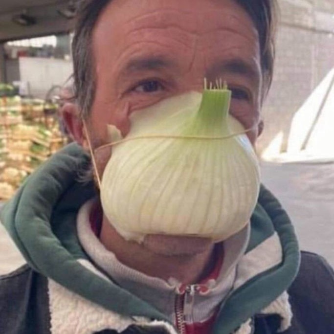 Nature's N95: The Onion Mask Era